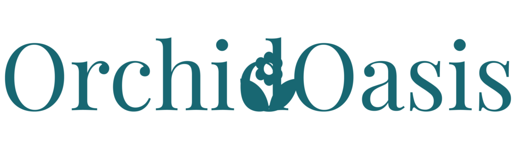 logo-6-1.png